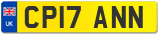 CP17 ANN