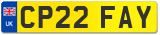 CP22 FAY