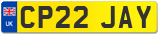 CP22 JAY