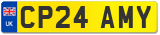 CP24 AMY