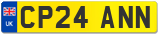 CP24 ANN