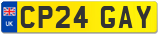 CP24 GAY