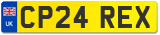 CP24 REX