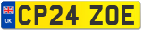 CP24 ZOE