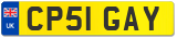 CP51 GAY