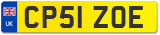 CP51 ZOE