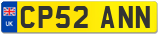 CP52 ANN