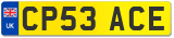 CP53 ACE