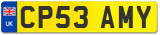 CP53 AMY