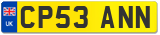 CP53 ANN