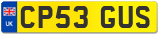 CP53 GUS