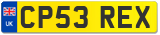 CP53 REX