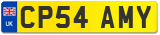 CP54 AMY