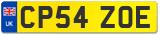 CP54 ZOE