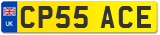 CP55 ACE