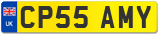 CP55 AMY