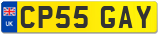 CP55 GAY