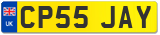 CP55 JAY