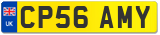 CP56 AMY