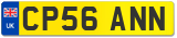 CP56 ANN