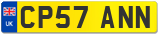 CP57 ANN