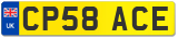 CP58 ACE