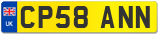 CP58 ANN