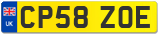 CP58 ZOE