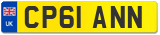 CP61 ANN