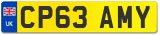 CP63 AMY