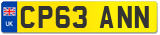 CP63 ANN