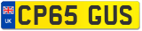 CP65 GUS