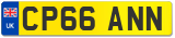 CP66 ANN