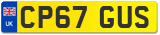 CP67 GUS