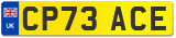 CP73 ACE