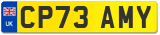 CP73 AMY