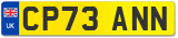 CP73 ANN