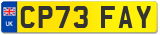 CP73 FAY