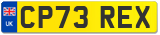 CP73 REX