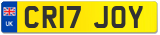 CR17 JOY