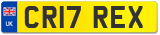 CR17 REX