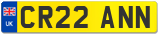 CR22 ANN