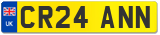 CR24 ANN