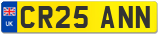 CR25 ANN