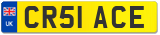 CR51 ACE