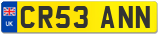 CR53 ANN