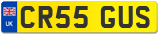 CR55 GUS