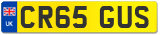 CR65 GUS