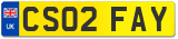 CS02 FAY