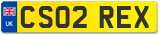 CS02 REX